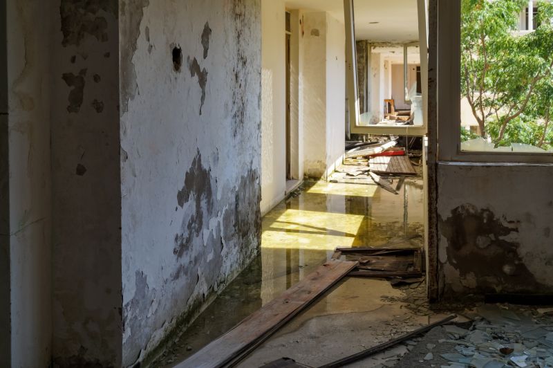 Flooded Interior Damage