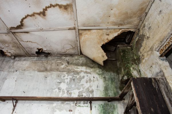 Water Damage Service in Edmonds