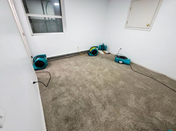 Flood Restoration Service in Edmonds