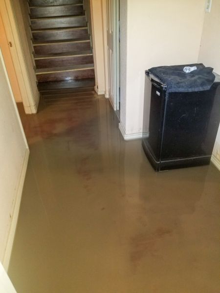Emergency Water Removal in Edmonds