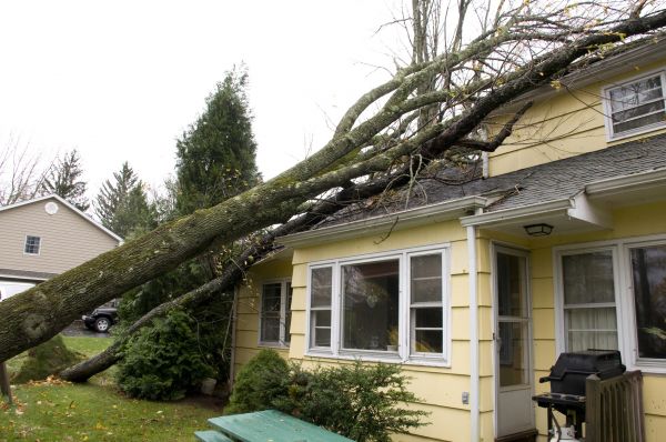 Hurricane Damage Repair in Edmonds
